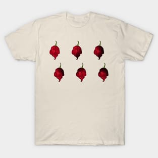 Habanero Chilli Pepper Sticker Spicy Hot Jalapeno Carolina Reaper T-Shirt